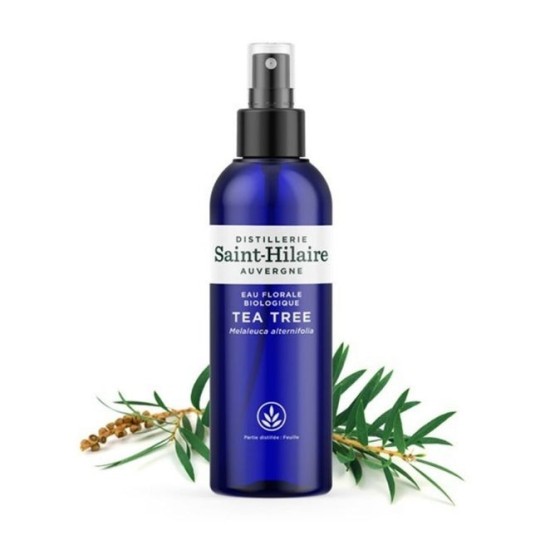 Hydrolat (Eau florale) de Tea Tree bio - Saint Hilaire