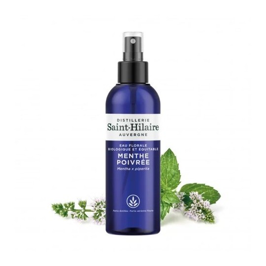 Hydrolat (Eau florale) de Menthe Poivrée bio - Saint Hilaire